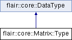 trunk/doc/Flair/classflair_1_1core_1_1_matrix_1_1_type.png